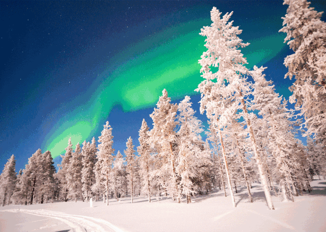shutterstock_520641781.jpg